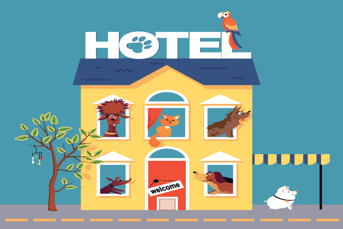 how-to-attract-pet-free-visitors-to-your-pet-friendly-hotel-adrack