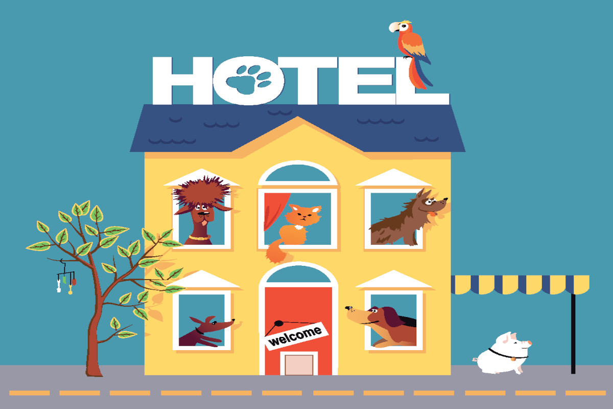 How To Attract Pet Free Visitors To Your Pet Friendly Hotel Adrack